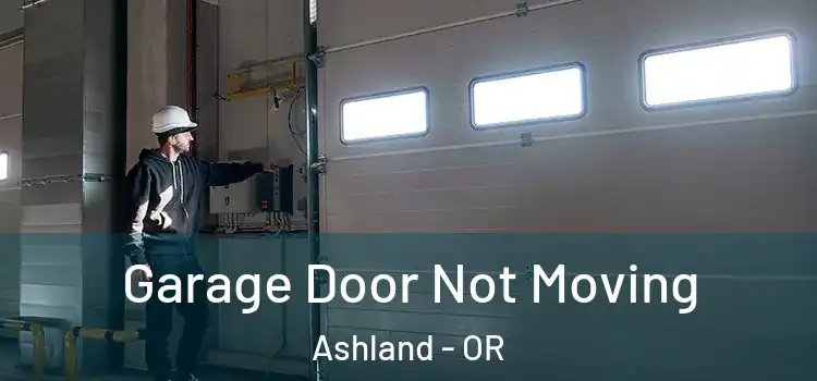  Garage Door Not Moving Ashland - OR