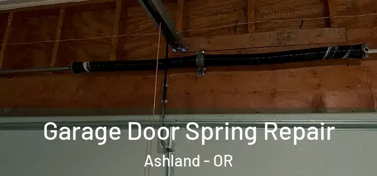  Garage Door Spring Repair Ashland - OR
