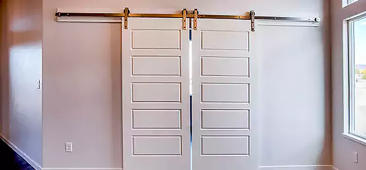 Glass Barn Door with Installation Hardware Kit Ashland