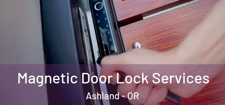  Magnetic Door Lock Services Ashland - OR